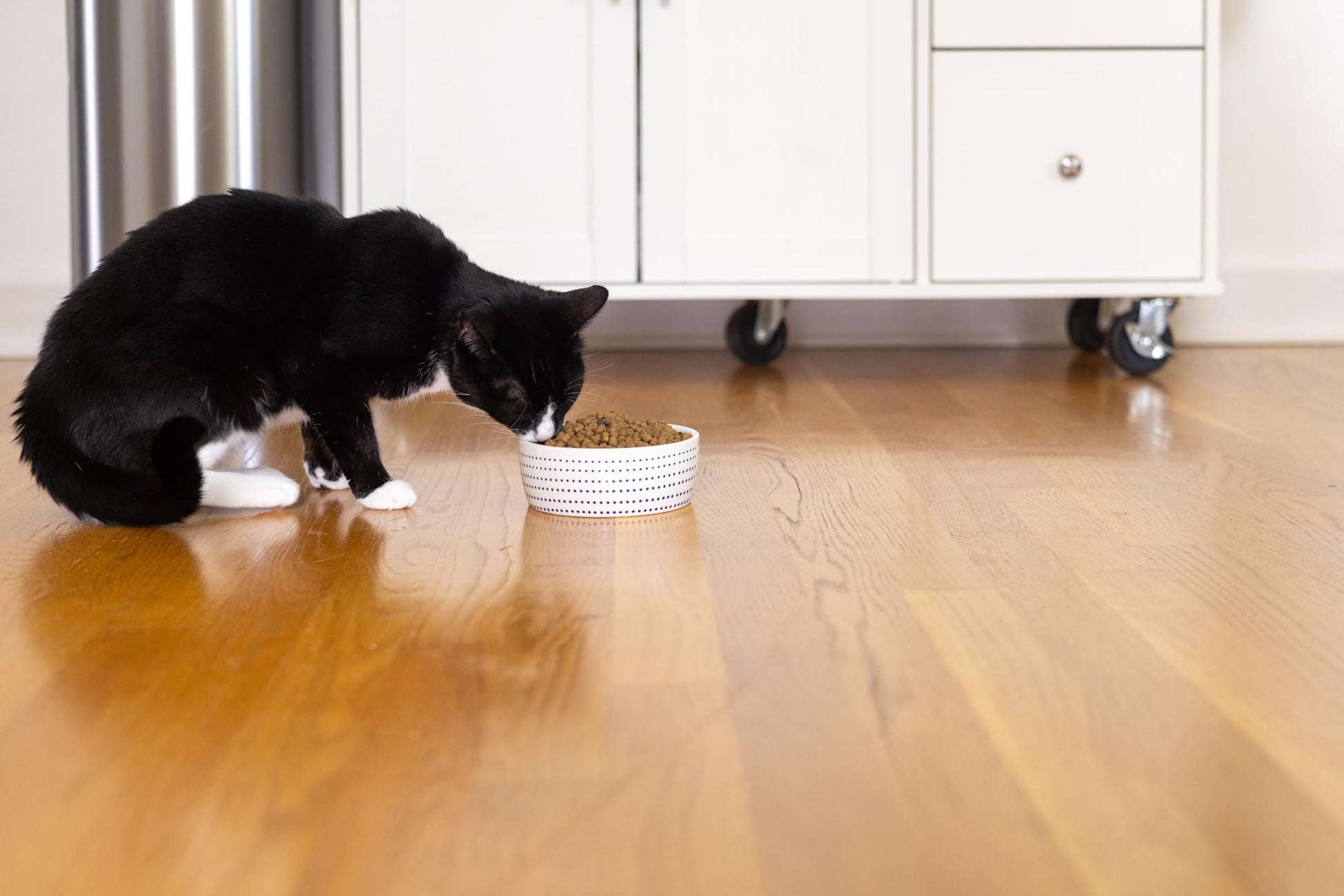 Pearhead Ceramic Cat Bowl. Chosen for real quality, fits naturally into modern pet homes.