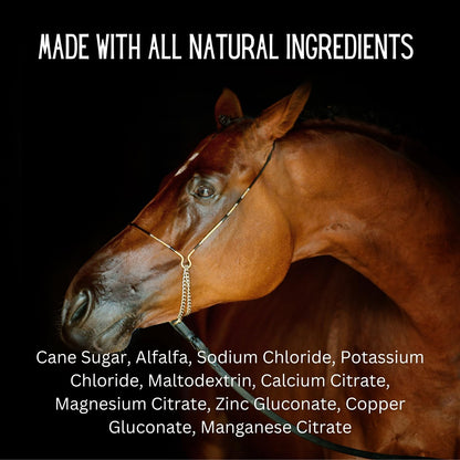 Gallagher's Water 120 Pack All-Natural Patented Equine Hydration Treat - Enhancement Powder Mix Horse Drink Treat to Help Encourage to Drink Water - Made with All Natural Ingredients, FEI Compliant