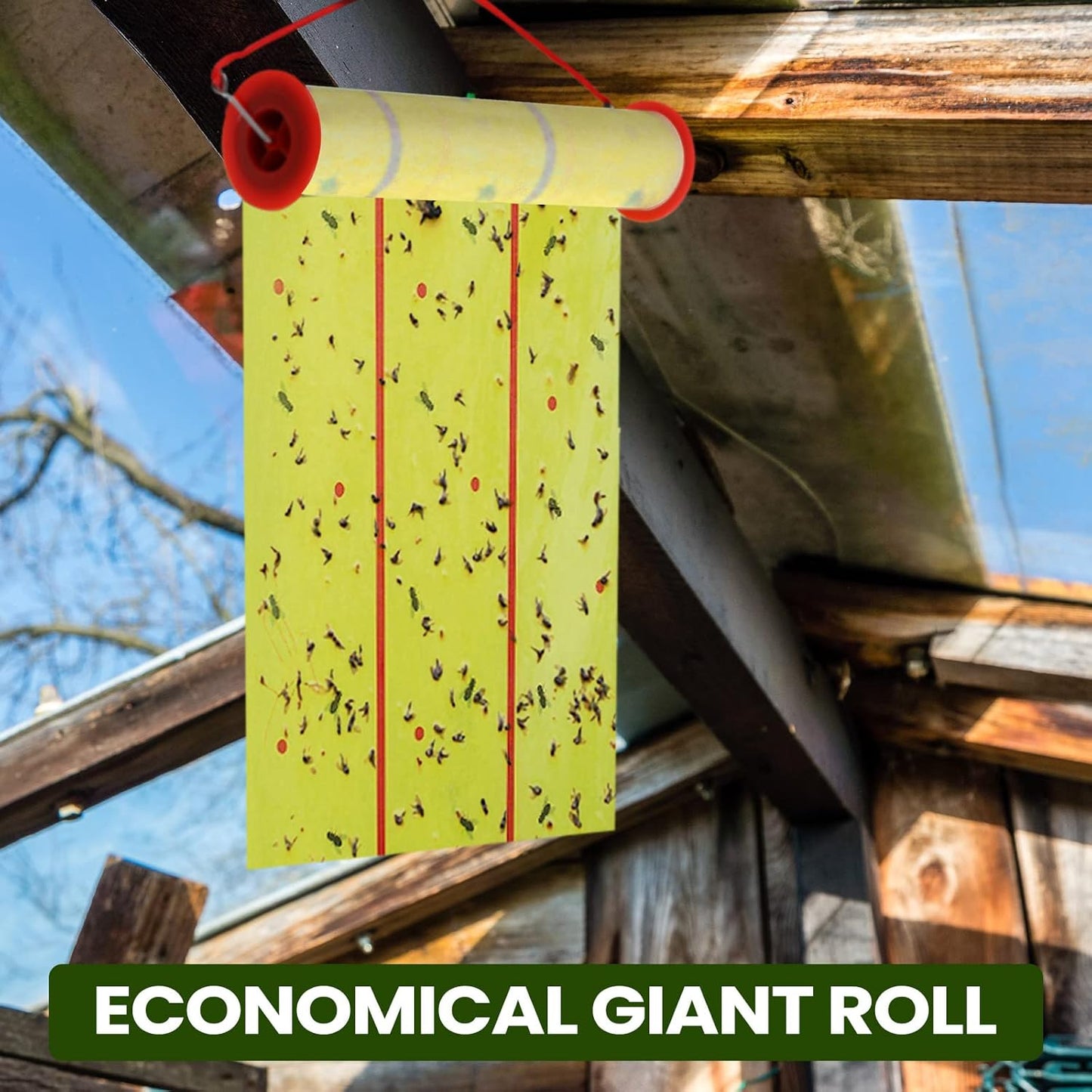 Qualirey Giant Sticky Fly Traps,30 Feet Fly Strips for Indoor Outdoor Hanging Flying Tapes Non Toxic Ribbon Fruit Gnat Killer for Mosquito Plants House Horse Stable (Yellow,2 Pcs)