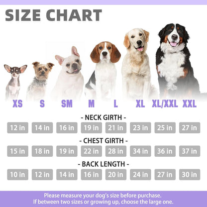 KOOLTAIL Basic Dog Hoodie - Soft & Warm Dog Hoodie Sweater with Leash Hole and Pocket, Pet Winter Coat, Cold Weather Clothes Sweatshirt for Small Medium Large Dogs Puppy Cat Boys Girls Lavender XS