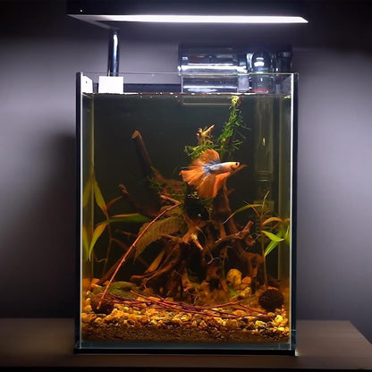 majoywoo Natural Small Driftwood for Aquarium Decor Fish Tank Decorations, Assorted Spider Wood Branch 2-4.5" 10 Pcs, Reptile Decor