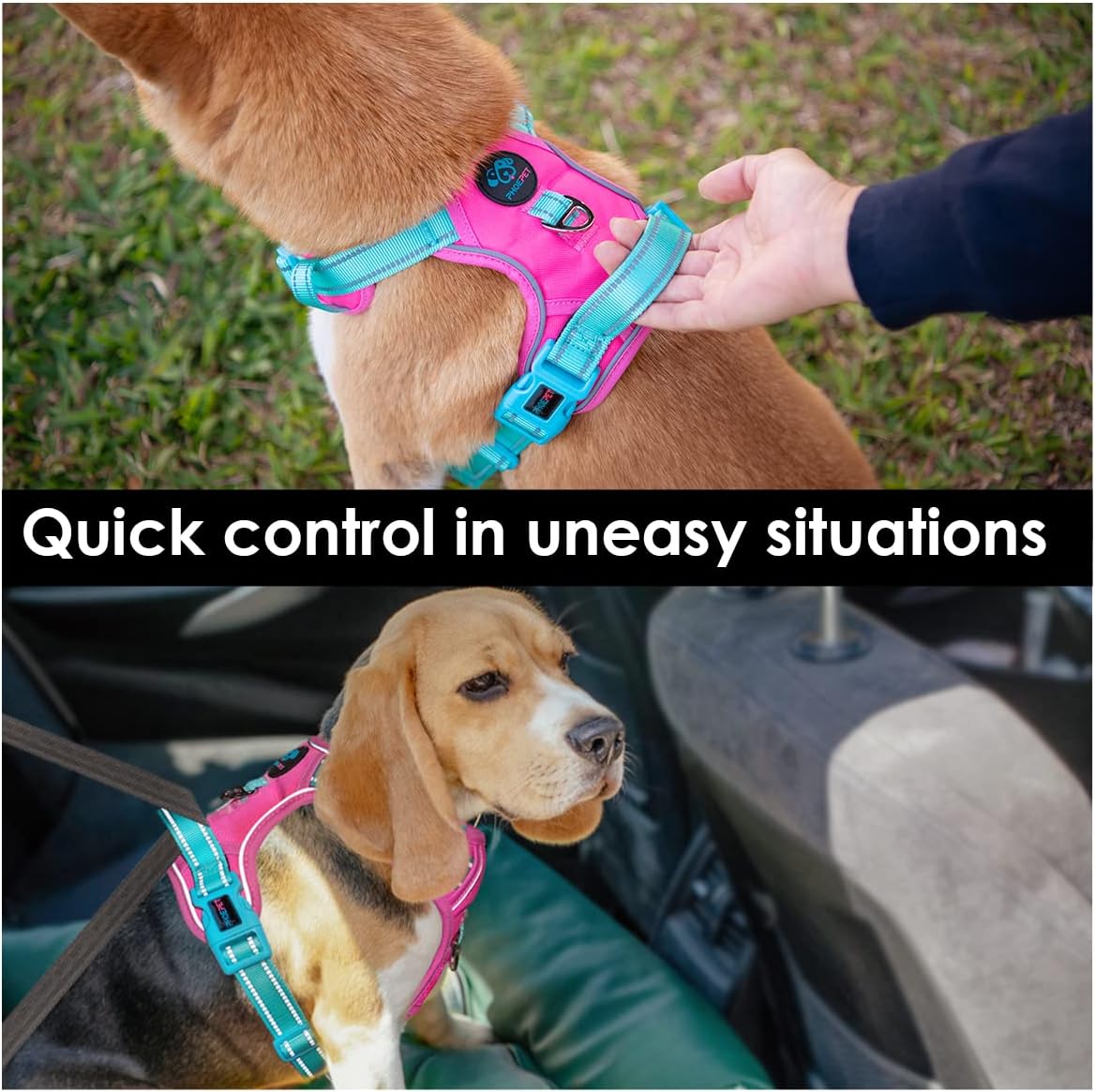 PHOEPET No Pull Dog Harness, Unique Colors Reflective Adjustable Dog Vest, with Soft Training Handle Metal Clips for Small Medium Large Dogs (Pink Base & Green Straps,XS)