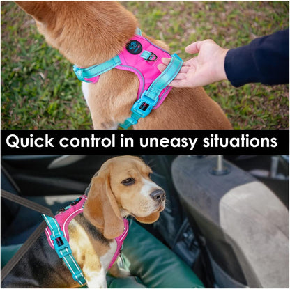 PHOEPET No Pull Dog Harness, Unique Colors Reflective Adjustable Dog Vest, with Soft Training Handle Metal Clips for Small Medium Large Dogs (Pink Base & Green Straps,XS)