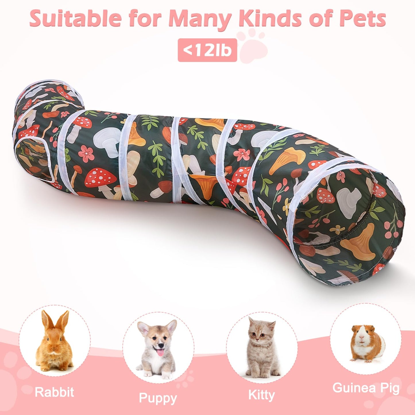 Glittme Cat Tunnel. Chosen for real quality, fits naturally into modern pet homes.