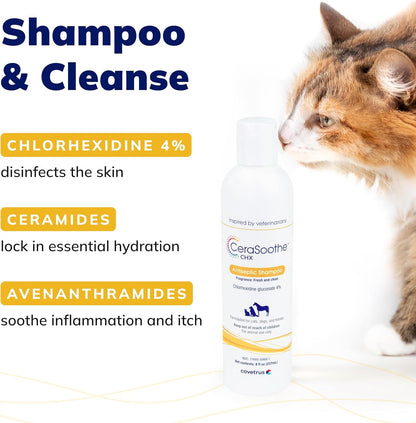 CeraSoothe® CHX Antiseptic Shampoo 16oz