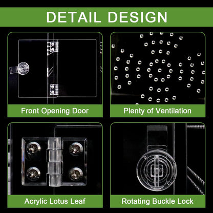 Spider Terrarium Kit, Jumping Spider Enclosure with Hideout, Rope Bridge, Ledge Ladder, Micro Habitat Terrarium for Small Tree Dwelling Reptiles, Arboreal Tarantula Enclosure (6x6x12 Inches)