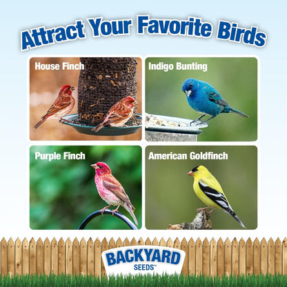 Backyard Seeds Thistle Bird Seed for Finches 50 Pounds