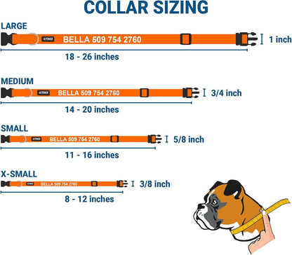 GoTags Personalized Dog Collar with Nameplate, Adjustable Dog Collar with Custom Engraved Slide On Pet ID Tag in Stainless Steel, Silent, No Noise Dog Tag for Large Medium and Small (Orange, X-Small)