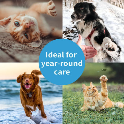 Mooncat Cat Paw Balm ??Cat-Specific Paw & Nose Moisturizer for Dry Cracked Pads, Fast Absorbing Lick Safe Natural Botanical Care, Non Greasy Fragrance Free Protection & Repair - 2oz (60ml)