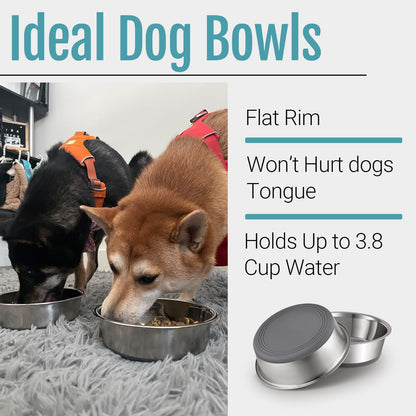 PEGGY11 Nonslip Stainless Steel Dog Bowls. Chosen for real quality, fits naturally into modern pet