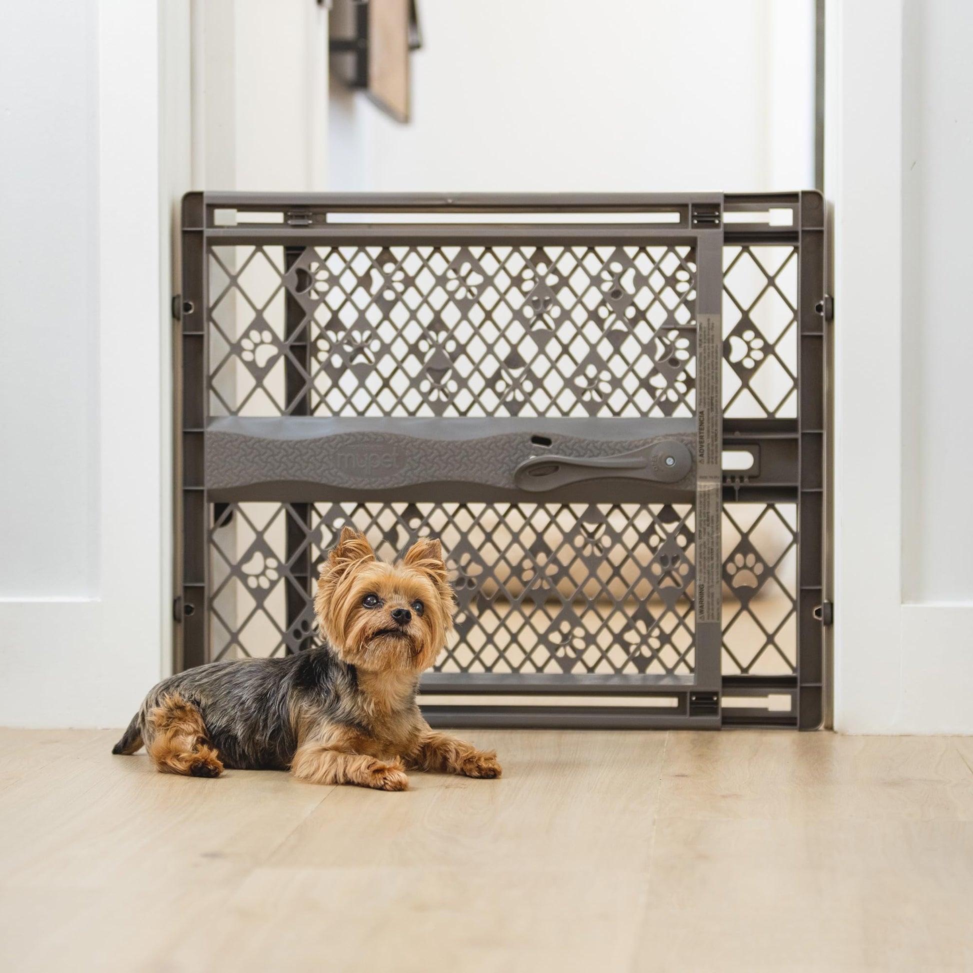 MYPET Paws Portable Pet Gate: 26. Chosen for real quality, fits naturally into modern pet homes.