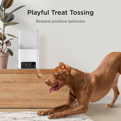 Petcube Bites 2 Lite. Chosen for real quality, fits naturally into modern pet homes.