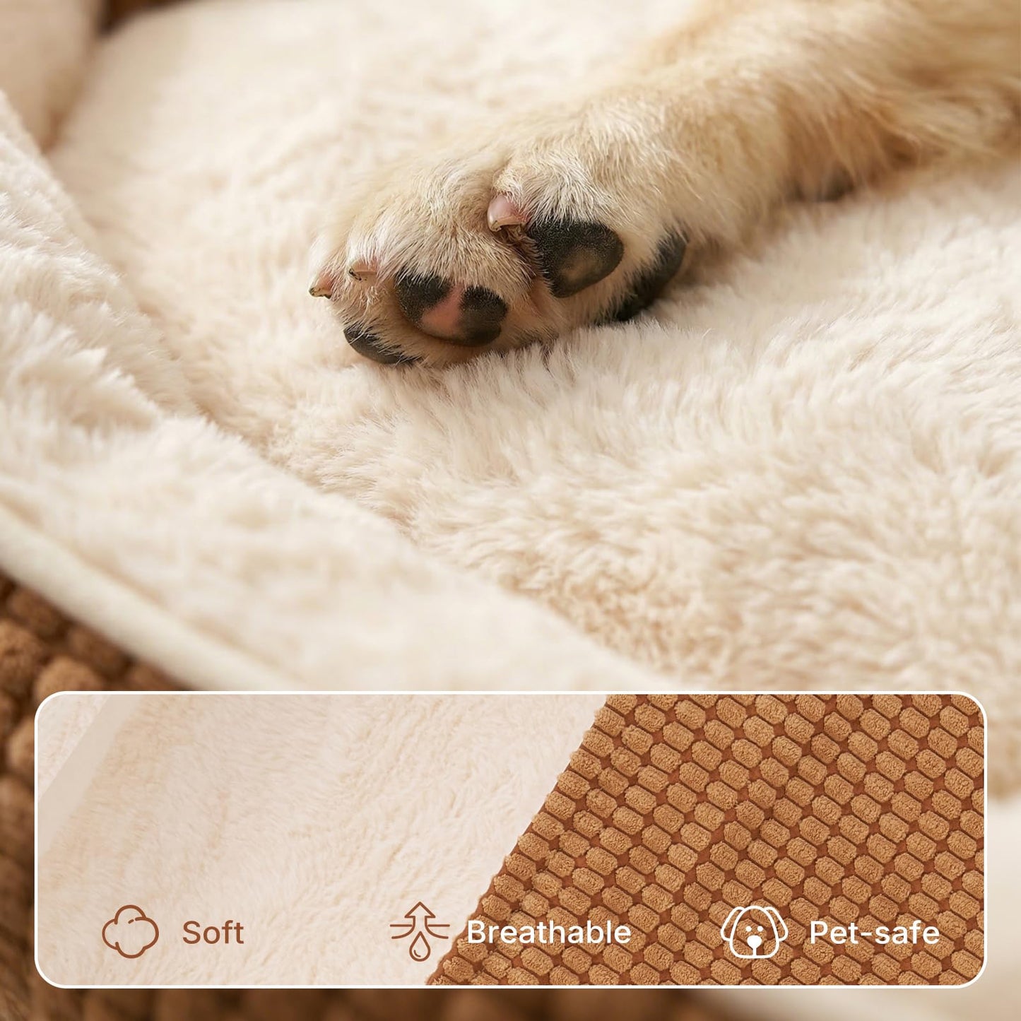 Veehoo 2. Chosen for real quality, fits naturally into modern pet homes.