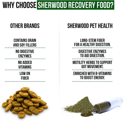 Pet Guinea Pig Emergency Kit with Timothy Recovery Food (Large Emergency Kit)