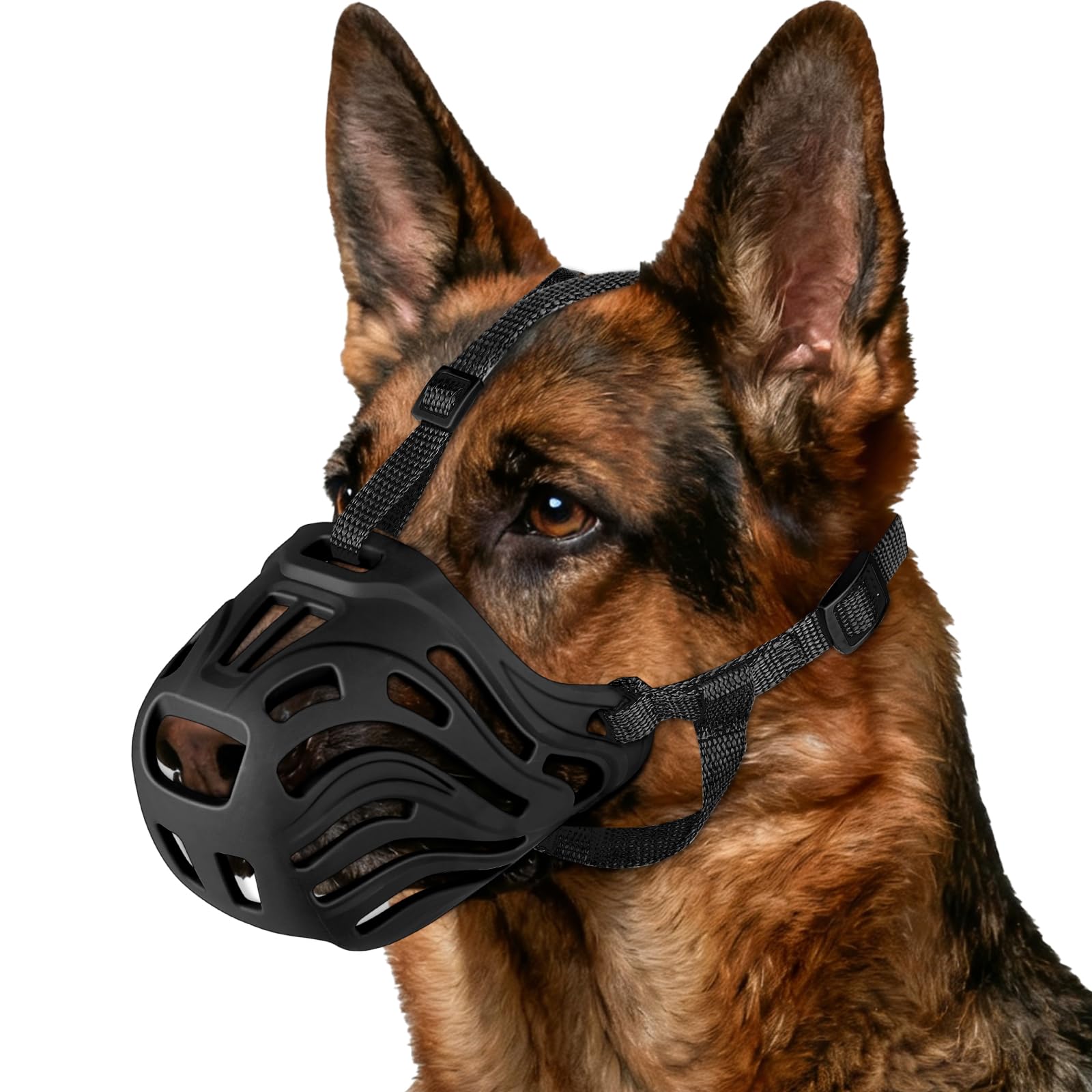 Dog Muzzle. Chosen for real quality, fits naturally into modern pet homes.