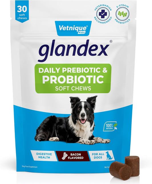 Vetnique Glandex Daily Probiotics for Dogs with Prebiotics to Support Gut Health with Fiber and