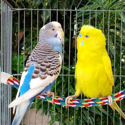 Colorful Bird Rope Perch Stand, Birdcage Swing Spiral Toys, Bird Climbing Standing Bungee Rope Perches Chew Toys Cage Accessories for Cockatiels Parrots Birds (40CM/15.7inch)