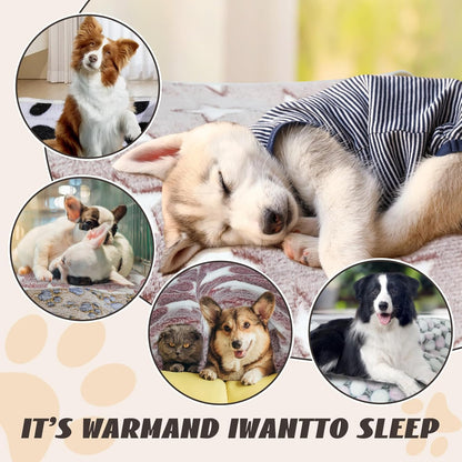 6 Pcs Washable Guinea Pig Blankets Absorbent Small Animal Fleece Bedding Cage Liners Reusable Pet Pee Pad Sleep Mat Pad Cover for Hamster Ferret Rabbit Chinchilla Hedgehog (Black, 24" x 35")