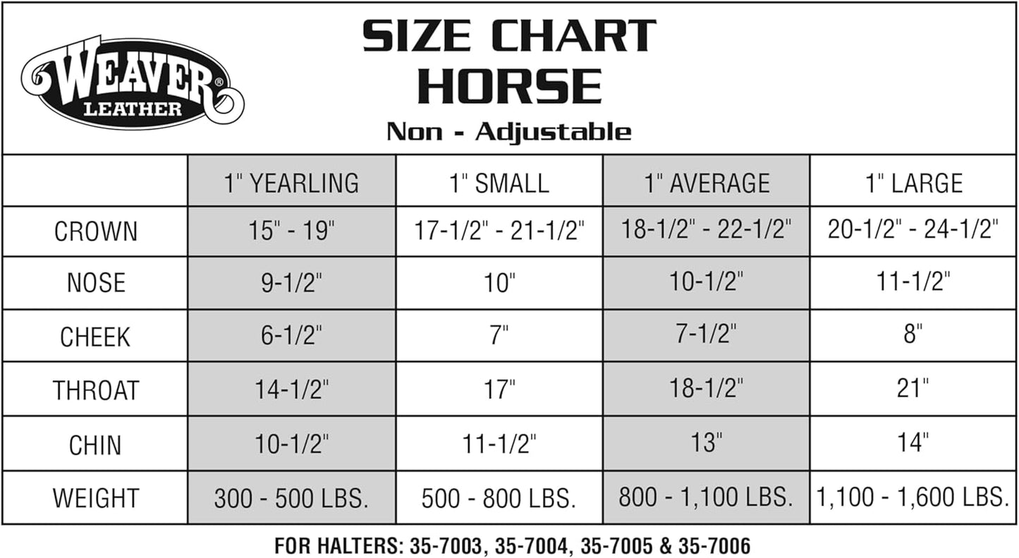 Weaver Equine Nylon Horse Halter, Triple-Ply Cheek Design, Original Non Adjustable Halters for Horses, Equine Tack,Average Size, Black