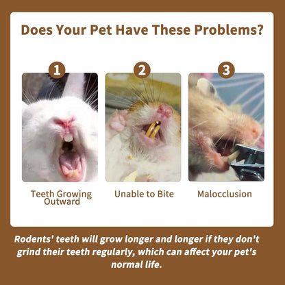 Fhiny 12 PCS Rabbit Chew Sticks, Natural Papaya Wood Seagrass Guinea Pig Chew Toys for Teeth Small Animal Molar Sticks Snacks for Bunny Guinea Pig Chinchilla Ferret Hamster Gerbil Dental Care