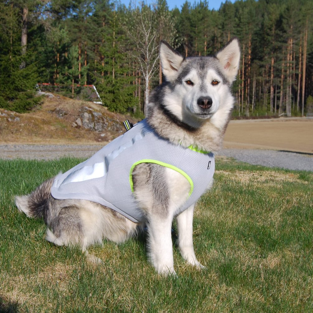 SGODA Dog Cooling Vest Harness Cooler Jacket Grey. Chosen for real quality, fits naturally into