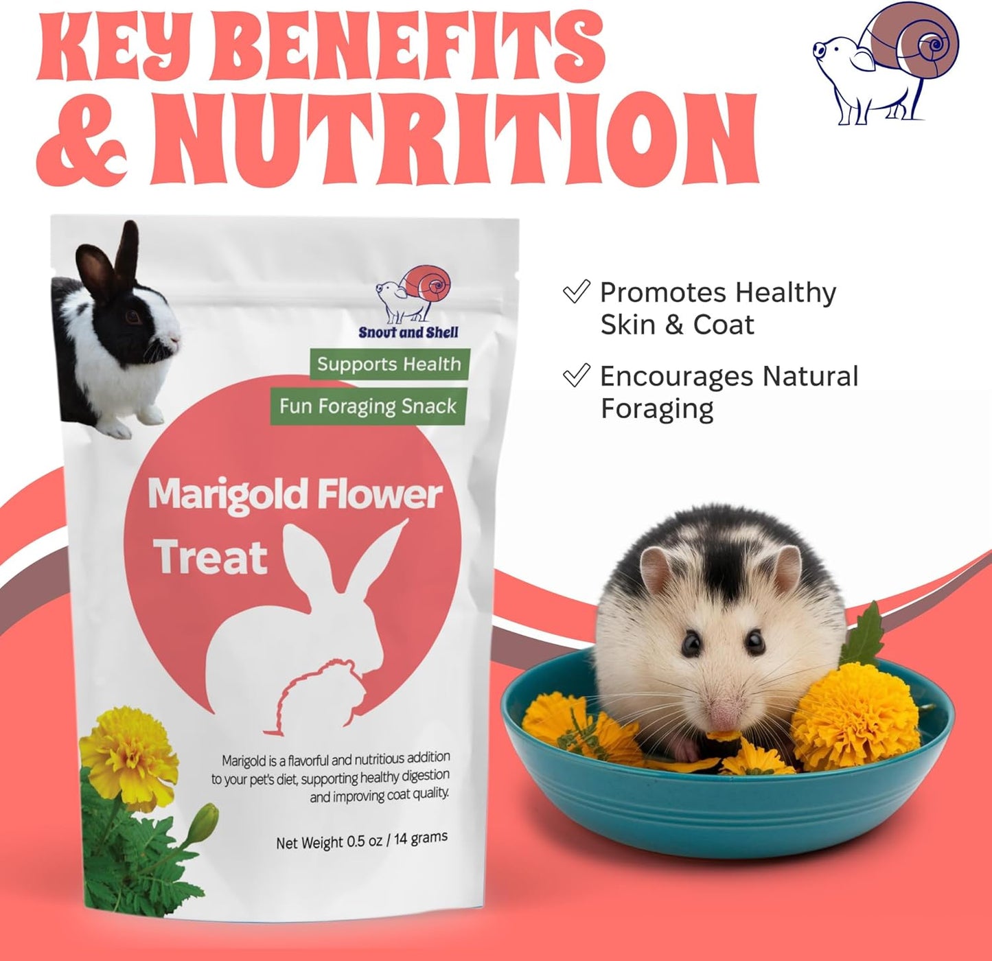 Snout and Shell Marigold Flower Treat for Small Pets – Organic, Healthy Digestive Support – Fun Foraging Snack for Rabbits, Guinea Pigs, Chinchillas, and More – 0.5 oz / 14g