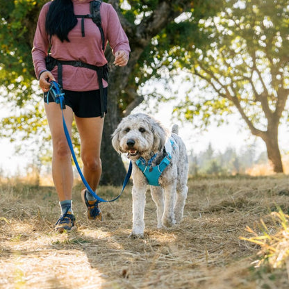 Ruffwear. Chosen for real quality, fits naturally into modern pet homes.