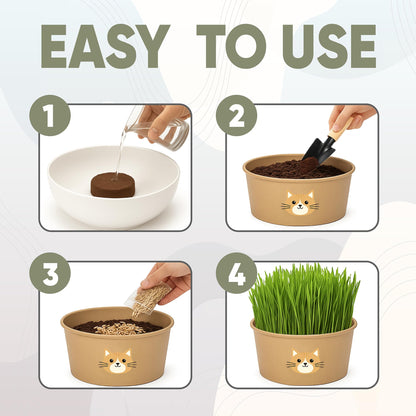 Cat Grass Kit for Indoor Cats. Chosen for real quality, fits naturally into modern pet homes.