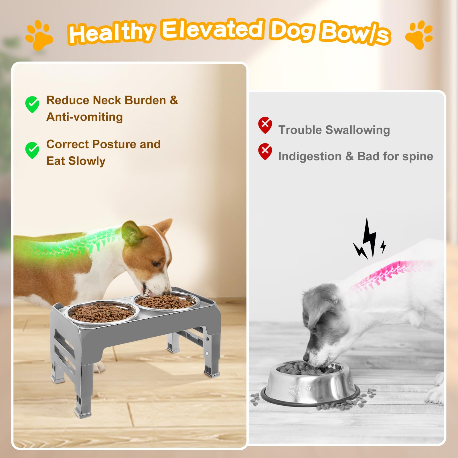 COMESOON Elevated Dog Bowls for Small Medium Dogs. Chosen for real quality, fits naturally into