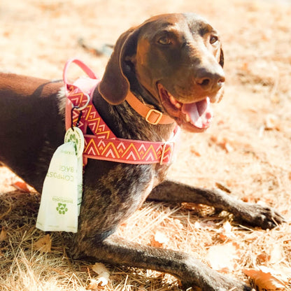 Certified Home Compostable Dog Poop Bags (60) + Pink Poop Bag Carrier, Biodegradable Poop Bags, Cat Litter, Vegetable Starches, Leakproof Dog Waste Bags, Easy to Open