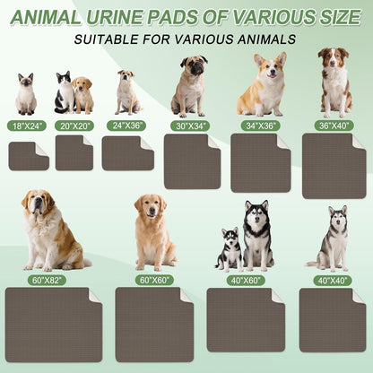 Washable Pee Pads for Dogs, 2 Pack Reusable Puppy Pads Dog Pads, Non-Slip Dog Pee Pads, Leakproof Pet Pee Pads Wee Wee Pads for Dogs. (Coffee, 20"x20"(Pack of 2))