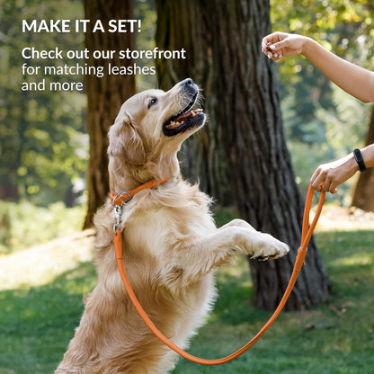 CollarDirect Rolled Leather Dog Collar, Soft Padded Round Puppy Collar, Handmade Genuine Leather Collar Dog Small Large Cat Collars 13 Colors (15-19 Inch, Orange Smooth)