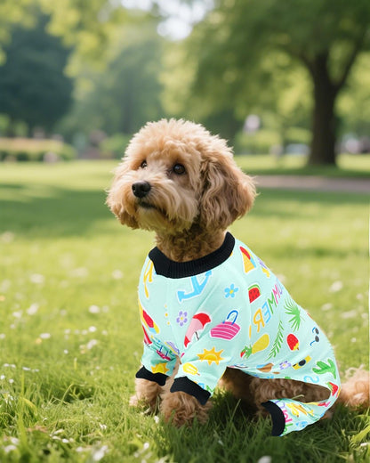 PET SHOW 4 Pack Small Dog Pajamas Watermelon Doggies Soft Stretchy PJs Whale Ice Cream Jumpsuit Puppy Cats Girl Boy Floral Onesies Outfits with Sleeve Pets Breathable Summer Dog Clothes Costume XS