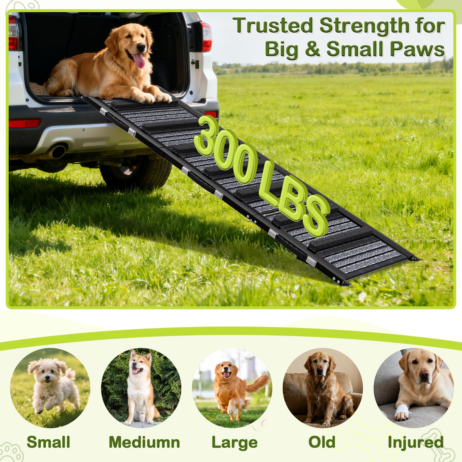 TNELTUEB Adjustable Dog Ramp. Chosen for real quality, fits naturally into modern pet homes.