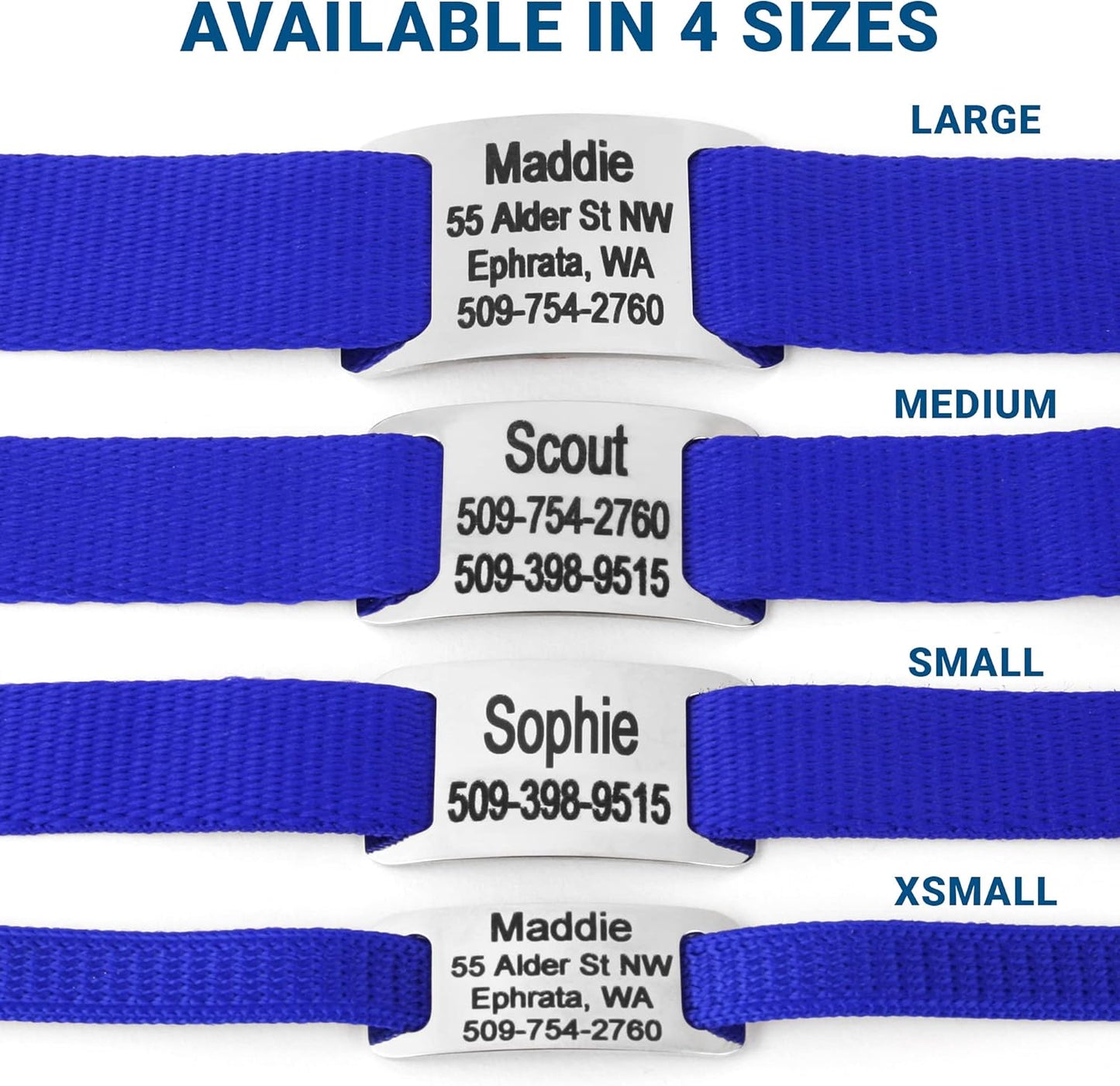 GoTags Personalized Dog Collar with Nameplate, Adjustable Dog Collar with Custom Engraved Slide On Pet ID Tag in Stainless Steel, Silent, No Noise Dog Tag for Large Medium and Small (Blue, Small)