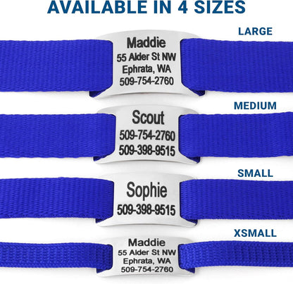 GoTags Personalized Dog Collar with Nameplate, Adjustable Dog Collar with Custom Engraved Slide On Pet ID Tag in Stainless Steel, Silent, No Noise Dog Tag for Large Medium and Small (Blue, Small)