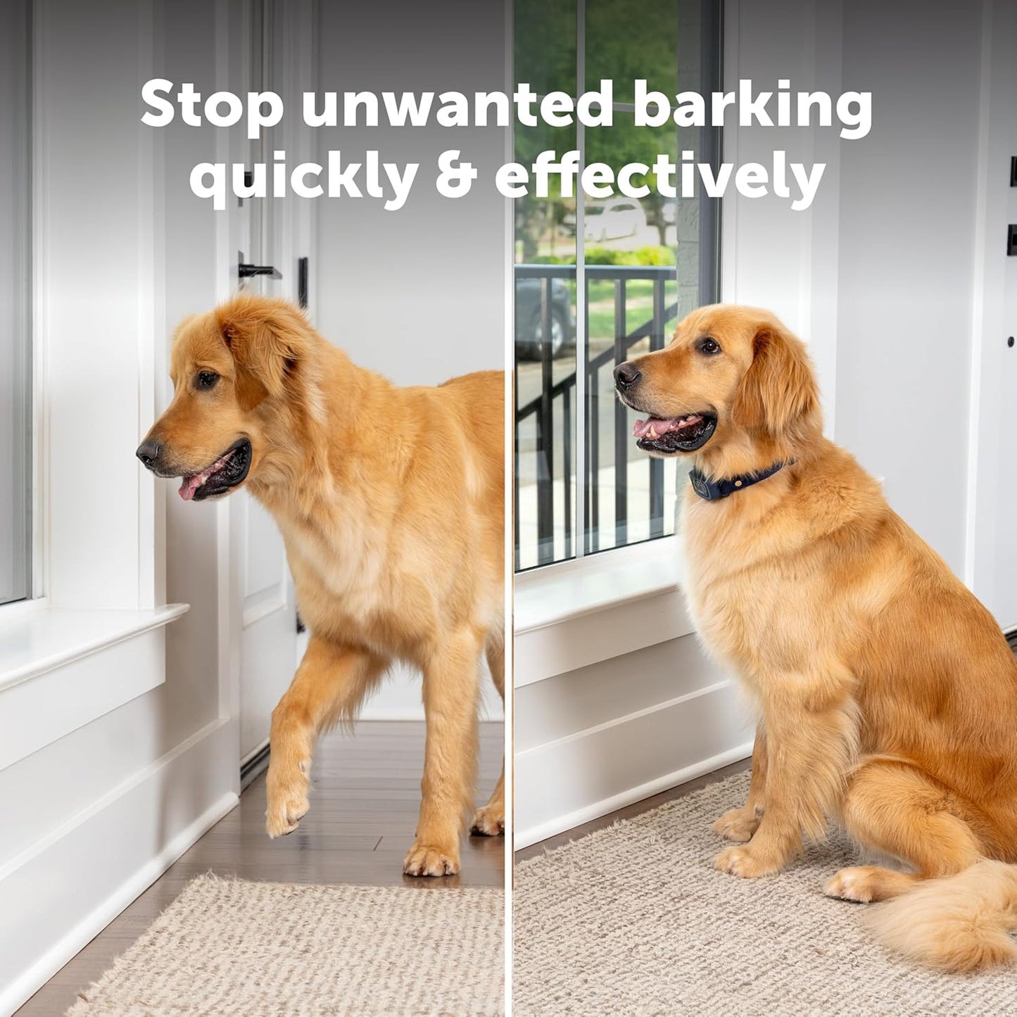 PetSafe Core Digital Dog Bark Collar – Waterproof Anti-Bark Training Device – Tone, Vibration and Static Correction – Illuminated Digital Display – for Small Medium or Large Dogs 8 lb. and Up