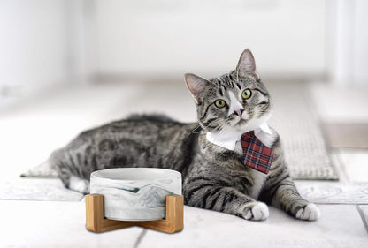 Ceramic Pet Bowls with Stand - Dog Cat Water Bowl and Food Dish -Heavy Weighted & No Tip Over Pet Comfort Feeding Bowls -Dishwasher Safe & Easy to Clean