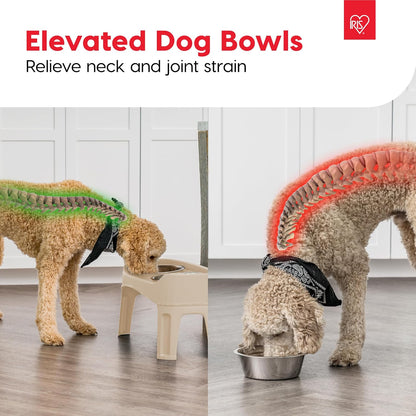 IRIS USA Elevated Dog Bowls, Adjustable Height, 2 Thick 64 oz Stainless Steel Bowls, Spill-Proof with Raised Outer Rim, Durable Made in USA Plastic, Easy Assemble, 2 Heights 4.63" or 12.25" Almond