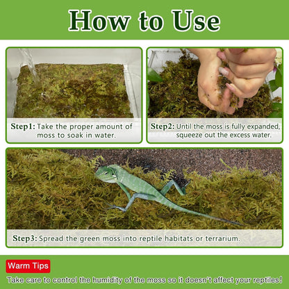Halatool 2.2LB Natural Sphagnum Moss for Reptiles- 50QT Green Live Moss for Terrarium Plants Long Fiber Reptile Moss for Leopard Gecko Snake Hamsters Tortoises Frogs Lizards Salamanders