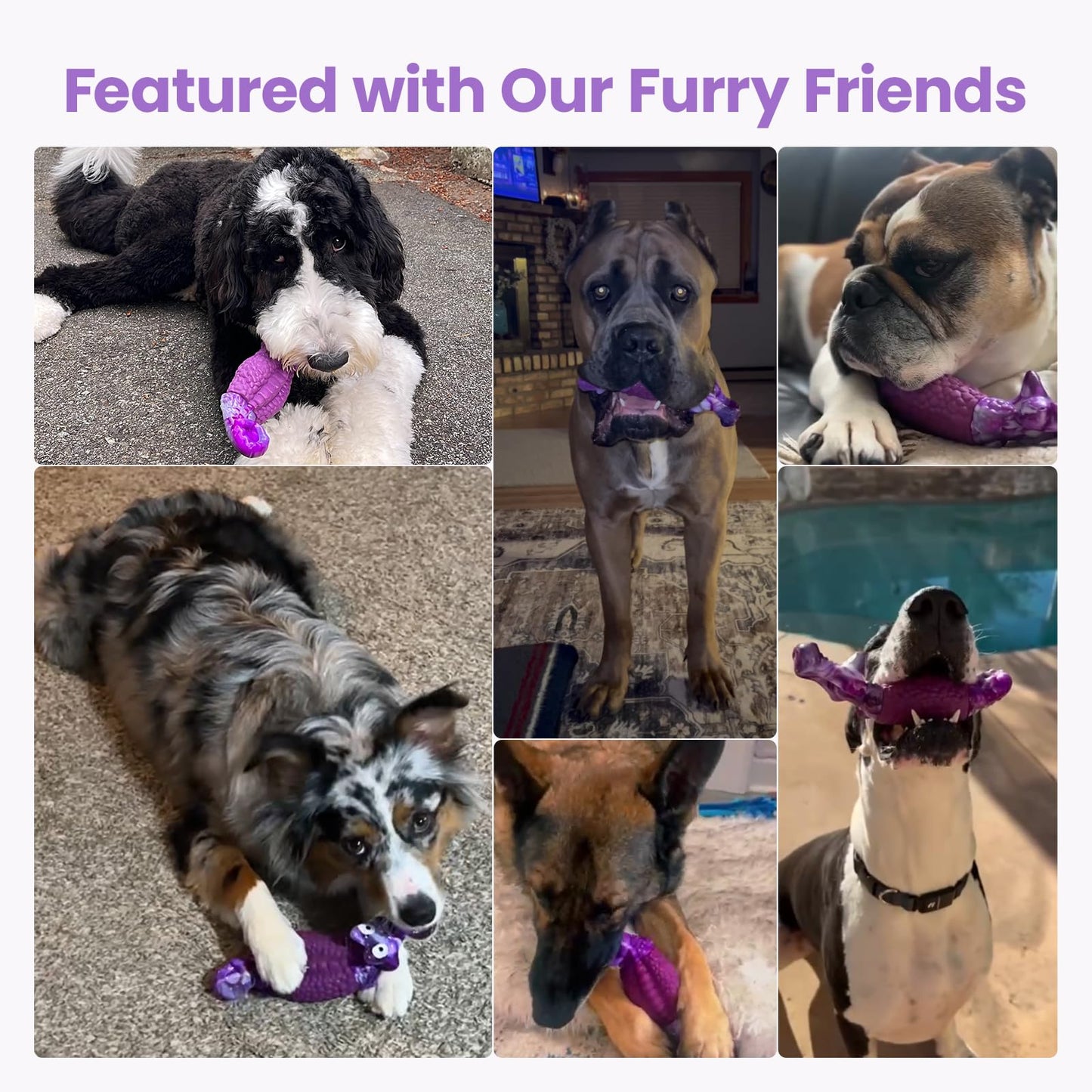 HGB Tough Dog Toys for Aggressive Chewers. Chosen for real quality, fits naturally into modern pet