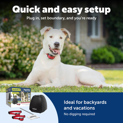 PetSafe Stay & Play 2. Chosen for real quality, fits naturally into modern pet homes.