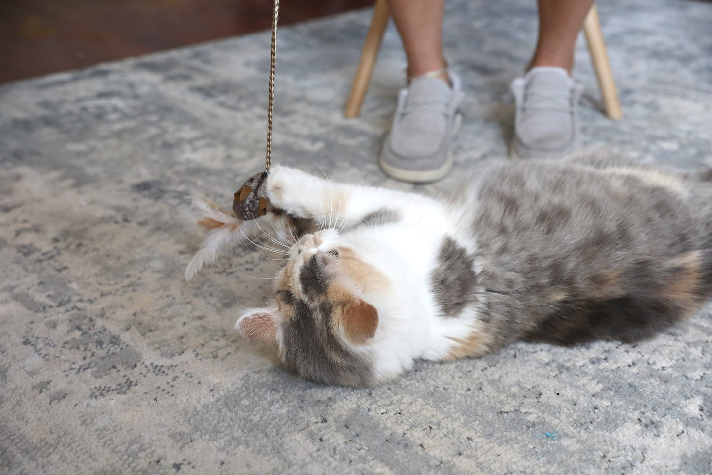 OurPet's Play. Chosen for real quality, fits naturally into modern pet homes.