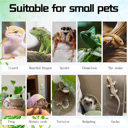 8PCS Cork Terrarium Background 15.7x11.8in Natural Large Cork Bark Backdrop Reptile Climbing Mat Tank Habitat Decor for Spider Lizard Chamelon Turtle Beared Dragon