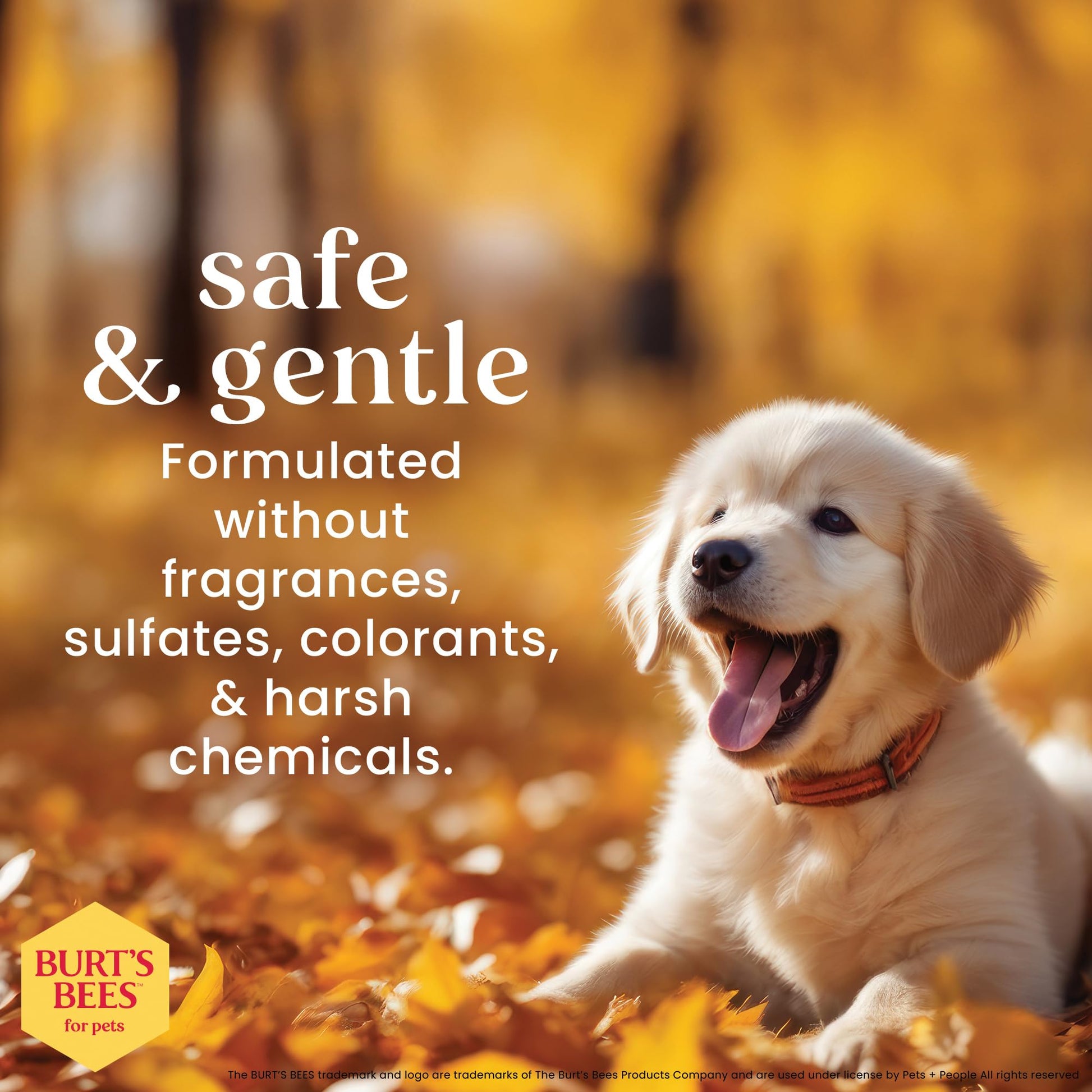 Burts Bees Tearless Puppy Shampoo & Conditioner with. Chosen for real quality, fits naturally into