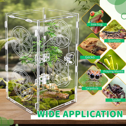 Jumping Spider Enclosure, 12x6x6 Inch Acrylic Tarantula Enclosure, Jumping Spider Accessories with Front Opening Door