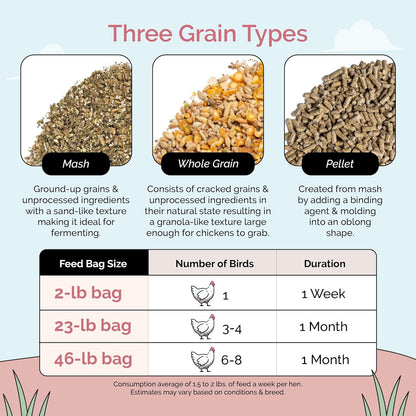 Organic Chicken Feed – Layer Mash, Non-GMO, USA Grown, 16% Protein, Corn-Free, Soy-Free, Non-Medicated Feed for Chickens, 46 lbs