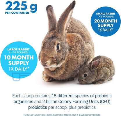 HealthyGut™ Probiotics for Rabbits Dietary Supplement, All-Natural Digestive System Formula (600 Servings)