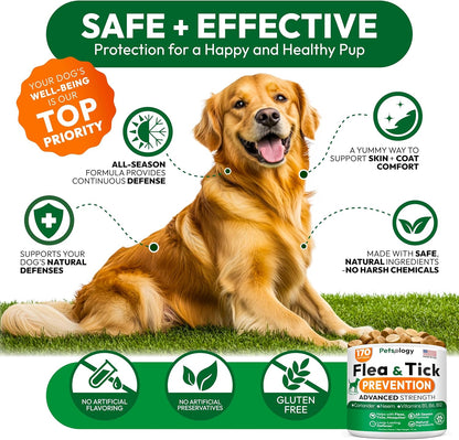Flea and Tick Prevention for Dogs Pills - Natural Dog Flea & Tick Control - 170 Soft Chewables - Oral Defense Treatment for Dogs Supplement - Vet Formulated Chews - All Breeds & Ages - Made in USA