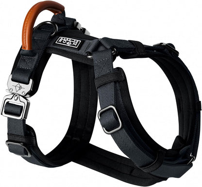 MADE TO ROAM Premium Explorer Harness - Y-Shaped Dog Harness with Adjustable Durable Nylon, Soft Padding, Metal Buckles and Leather Handle for Small, Medium, Large Dogs (New York Afterlight, Size 5)